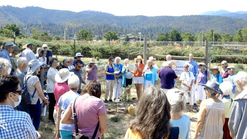 The RVPC and audience members stand around the peace tree